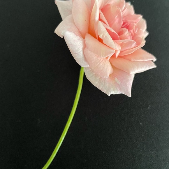 ag996